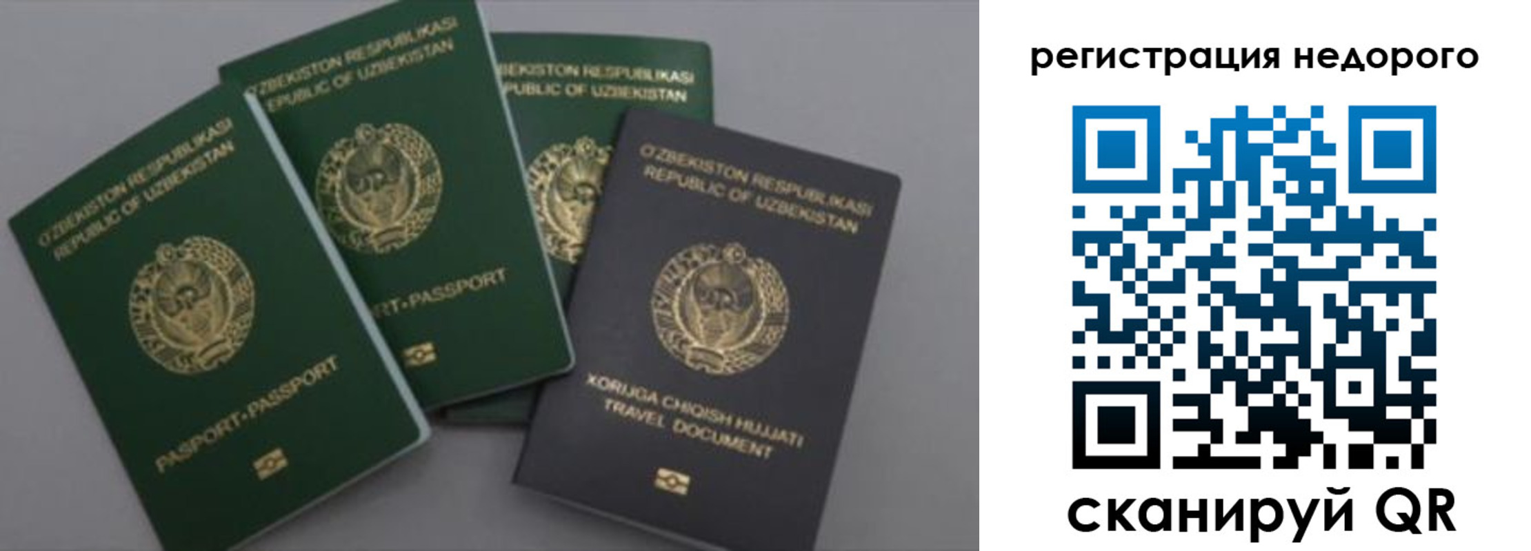 пропишу в квартире в Дубне