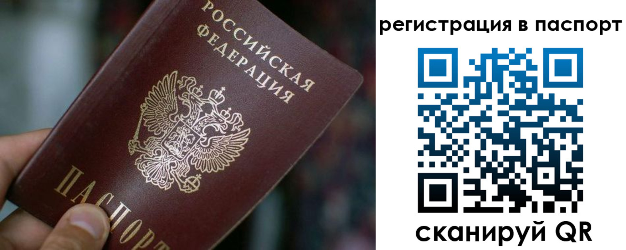 временная регистрация недорого в Дубне